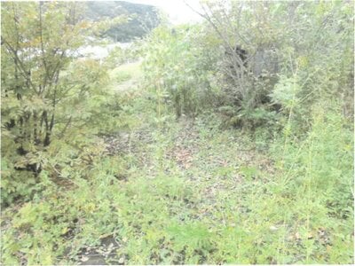 群馬県甘楽郡下仁田町 下仁田駅 戸建て 155万円の競売物件 #11