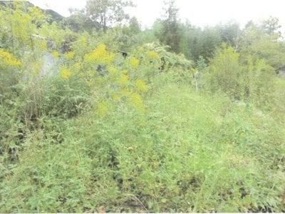 群馬県甘楽郡下仁田町 下仁田駅 戸建て 155万円の競売物件 #12
