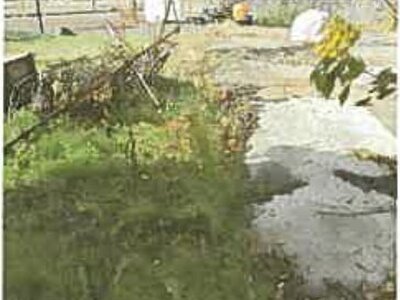 (値下げ) 滋賀県長浜市 永原駅8分 戸建て 251万円の競売物件 #17