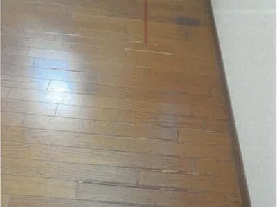奈良県橿原市 耳成駅13分 戸建て 233万円の競売物件 #5