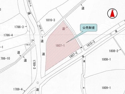 (値下げ) 香川県高松市 仏生山駅 土地 77万円の国税庁公売物件 #3