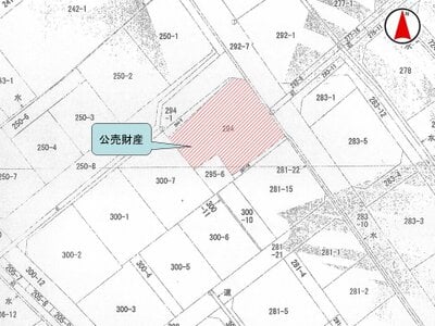 (値下げ) 滋賀県犬上郡甲良町 尼子駅17分 戸建て 143万円の国税庁公売物件 #3