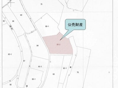 和歌山県紀の川市 甘露寺前駅8分 戸建て 375万円の国税庁公売物件 #4