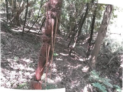 香川県小豆郡土庄町 土地 13万円の競売物件 #1