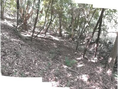 香川県小豆郡土庄町 土地 13万円の競売物件 #2