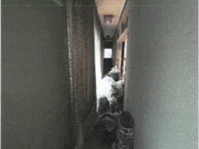 香川県仲多度郡多度津町 多度津駅9分 戸建て 105万円の競売物件 #18