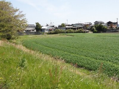 三重県松阪市 松阪駅 農地 5万円の国税庁公売物件 #2