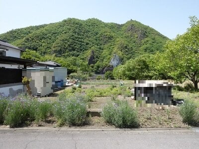愛知県犬山市 坂祝駅15分 農地 20万円の国税庁公売物件 #1