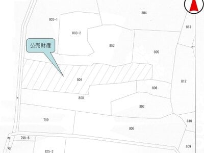 三重県松阪市 松阪駅 農地 36万円の国税庁公売物件 #3