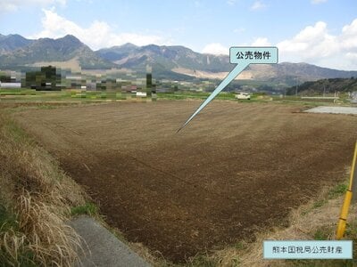熊本県阿蘇郡南阿蘇村 加勢駅 農地 78万円の国税庁公売物件 #3