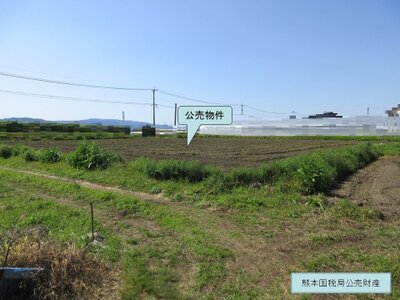 鹿児島県指宿市 二月田駅26分 農地 262万円の国税庁公売物件 #3