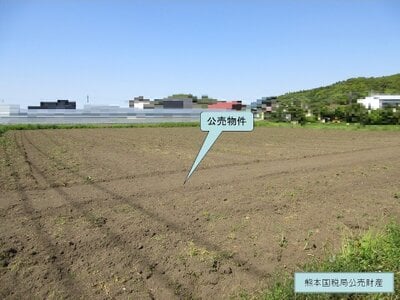 鹿児島県指宿市 二月田駅26分 農地 262万円の国税庁公売物件 #4