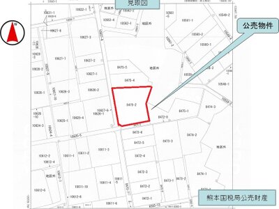 鹿児島県指宿市 二月田駅26分 農地 262万円の国税庁公売物件 #5