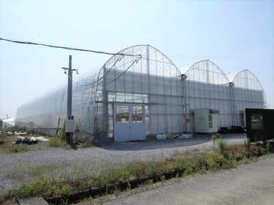 岐阜県安八郡神戸町 東赤坂駅 農地 1,798万円の国税庁公売物件 #1