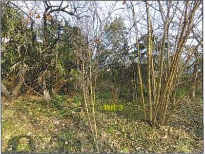 広島県府中市 府中駅11分 戸建て 1,110万円の競売物件 #20