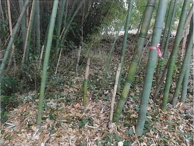 (値下げ) 東京都青梅市 河辺駅29分 土地 142万円の競売物件 #3
