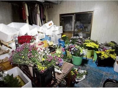 (値下げ) 愛知県豊橋市 向ヶ丘駅 戸建て 320万円の競売物件 #13