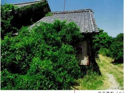 愛知県田原市 戸建て 247万円の競売物件 #10