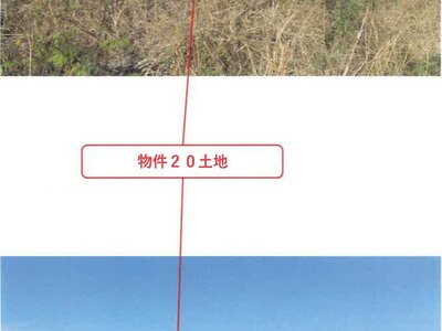 (値下げ) 徳島県徳島市 徳島駅 農地 390万円の競売物件 #2