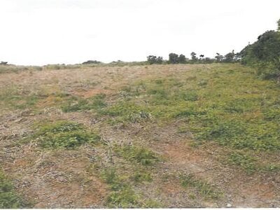 沖縄県国頭郡国頭村 農地 19万円の競売物件 #2