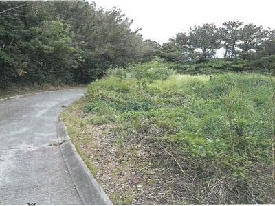 沖縄県国頭郡国頭村 農地 95万円の競売物件 #1