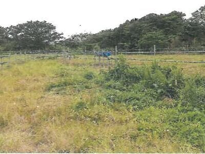 沖縄県国頭郡国頭村 農地 539万円の競売物件 #3
