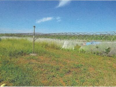 沖縄県宮古島市 農地 198万円の競売物件 #3