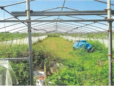 沖縄県宮古島市 農地 198万円の競売物件 #4