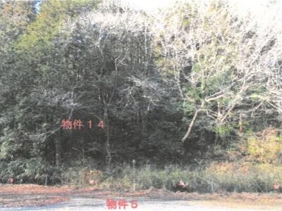(値下げ) 栃木県芳賀郡益子町 益子駅 戸建て 2,766万円の競売物件 #10