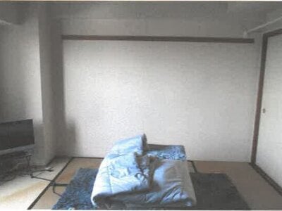栃木県宇都宮市 東武宇都宮駅22分 マンション「ナイスアーバン中央公園」480万円の競売物件 #5