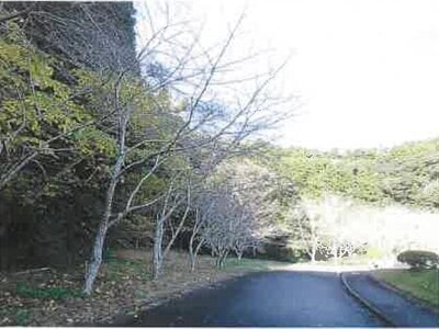 千葉県夷隅郡御宿町 御宿駅14分 土地 1,413万円の競売物件 #15