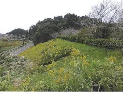 千葉県夷隅郡御宿町 御宿駅14分 土地 1,413万円の競売物件 #19
