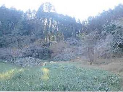 千葉県夷隅郡御宿町 御宿駅14分 土地 1,413万円の競売物件 #28