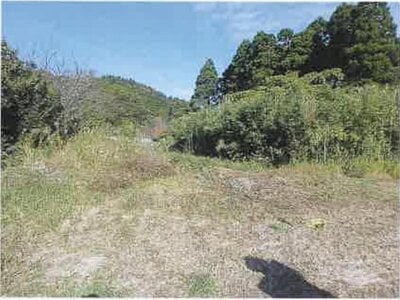 千葉県夷隅郡御宿町 御宿駅14分 土地 1,413万円の競売物件 #4