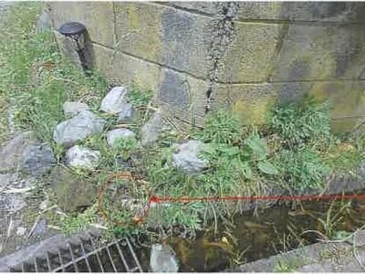 (値下げ) 千葉県南房総市 九重駅 土地 139万円の競売物件 #5
