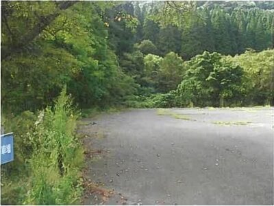 岩手県岩手郡雫石町 赤渕駅 土地 992万円の競売物件 #3
