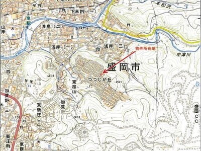 岩手県盛岡市 山岸駅15分 戸建て 213万円の競売物件 #12