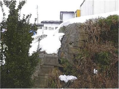 (値下げ) 岩手県九戸郡軽米町 金田一温泉駅 戸建て 589万円の競売物件 #3