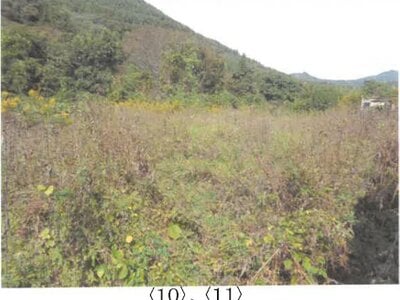 (値下げ) 長野県上田市 上田駅 農地 287万円の競売物件 #9