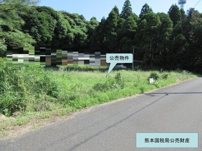 (値下げ) 鹿児島県鹿屋市 土地 89万円の国税庁公売物件 #2