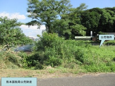 (値下げ) 鹿児島県鹿屋市 土地 89万円の国税庁公売物件 #3