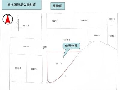(値下げ) 鹿児島県鹿屋市 土地 89万円の国税庁公売物件 #5