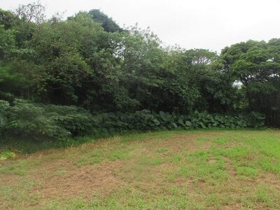 沖縄県国頭郡本部町 土地 306万円の国税庁公売物件 #1
