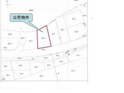 (値下げ) 熊本県葦北郡津奈木町 津奈木駅16分 土地 345万円の国税庁公売物件 #4