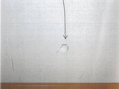 大阪府柏原市 道明寺駅8分 戸建て 695万円の競売物件 #2