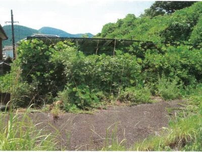 (値下げ) 和歌山県西牟婁郡上富田町 朝来駅 土地 91万円の競売物件 #1