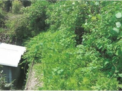 (値下げ) 和歌山県西牟婁郡上富田町 朝来駅 土地 91万円の競売物件 #5