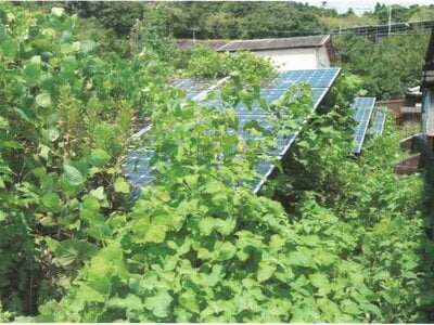 (値下げ) 和歌山県西牟婁郡上富田町 朝来駅 土地 91万円の競売物件 #6