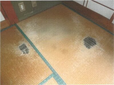 和歌山県田辺市 芳養駅9分 戸建て 621万円の競売物件 #10