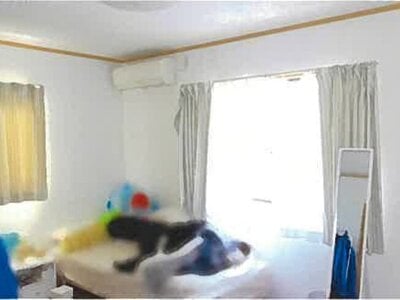 島根県出雲市 小田駅10分 戸建て 665万円の競売物件 #17